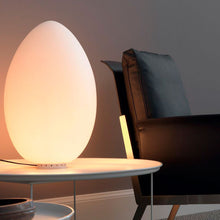 Load image into Gallery viewer, Uovo lampada da tavolo