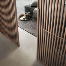 Load image into Gallery viewer, Porta da interno Sail Rimadesio