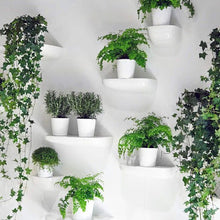 Load image into Gallery viewer, Corniches Piccola - mensola portaoggetti