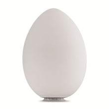 Load image into Gallery viewer, Uovo lampada da tavolo