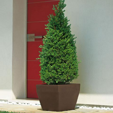 Load image into Gallery viewer, Akan vaso quadrato