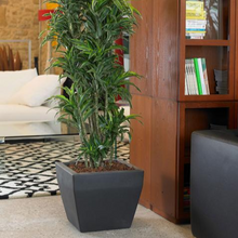 Load image into Gallery viewer, Akan vaso quadrato