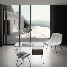 Carica l'immagine nel visualizzatore di Gallery, Bertoia sedia cromata con cuscino