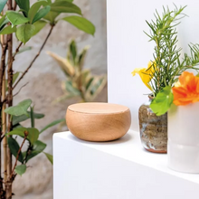 Load image into Gallery viewer, Bowl ciotola grande con coperchio