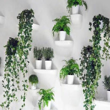 Load image into Gallery viewer, Corniches Media - mensola portaoggetti