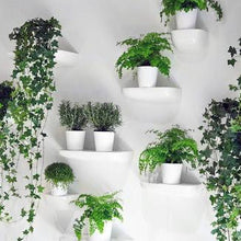 Load image into Gallery viewer, Corniches Grande - mensola portaoggetti