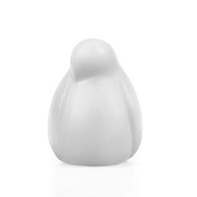 Carica l'immagine nel visualizzatore di Gallery, Resting Birds small