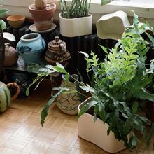 Load image into Gallery viewer, Vaso Riihitie Plant Pot (modello A in ceramica bianca)