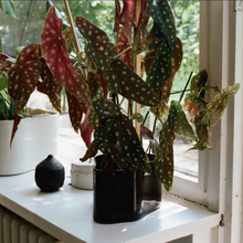 Load image into Gallery viewer, Vaso Riihitie Plant Pot (modello A in ceramica blu)