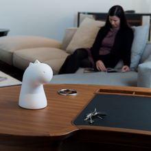 Load image into Gallery viewer, Draghetto soprammobile