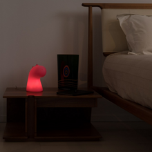 Load image into Gallery viewer, Draghetto led lampada da tavolo