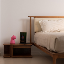 Load image into Gallery viewer, Draghetto led lampada da tavolo