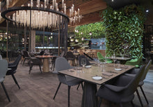 Load image into Gallery viewer, Organic Chair