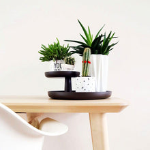 Load image into Gallery viewer, Rotary Tray vassoio girevole