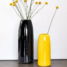 Load image into Gallery viewer, Vaso Carla M