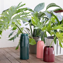 Load image into Gallery viewer, Vaso Carla M