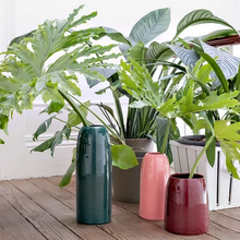 Load image into Gallery viewer, Vaso Carla S