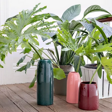 Load image into Gallery viewer, Vaso Carla L colore gemma