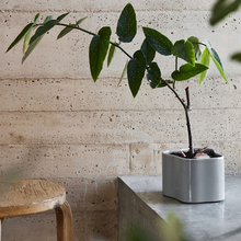 Load image into Gallery viewer, Vaso Riihitie Plant Pot (modello A in ceramica grigio chiaro)