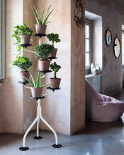 Load image into Gallery viewer, Albero portavasi