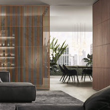 Load image into Gallery viewer, Porta da interno Sail Rimadesio