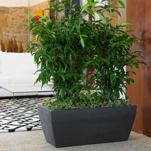 Load image into Gallery viewer, Akan cassetta per fiori