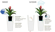 Load image into Gallery viewer, Akan vaso quadrato