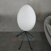 Load image into Gallery viewer, Uovo lampada da tavolo