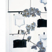 Load image into Gallery viewer, Fioriera Erbale