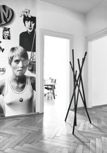 Load image into Gallery viewer, Sticks appendiabiti