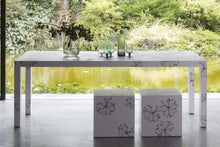 Load image into Gallery viewer, Tavolo Living
