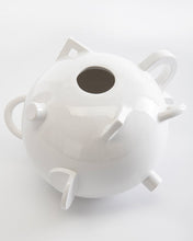 Carica l&#39;immagine nel visualizzatore di Gallery, Vaso Dealbata 9551
