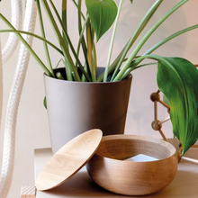 Carica l&#39;immagine nel visualizzatore di Gallery, Bowl ciotola grande con coperchio

