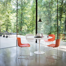 Carica l&#39;immagine nel visualizzatore di Gallery, Set di 2 sedie Bertoia Plastic Chair Anniversary Edition (telaio bianco)
