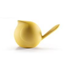 Load image into Gallery viewer, Biggie uccellino decorativo
