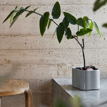 Load image into Gallery viewer, Vaso Riihitie Plant Pot (modello A in ceramica grigio chiaro)
